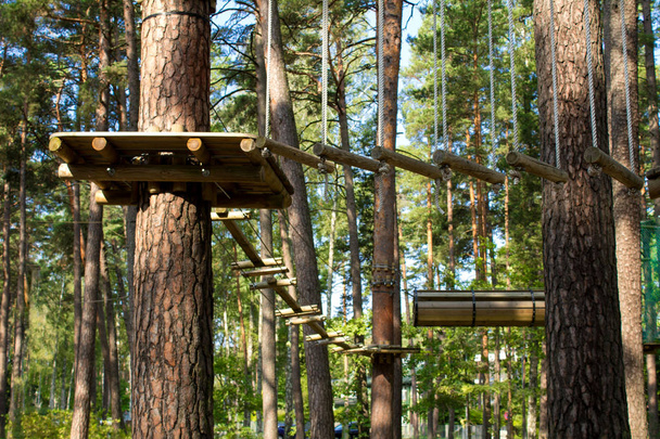 Parque de cuerdas en el bosque de pinos en el día de verano
 - Foto, imagen