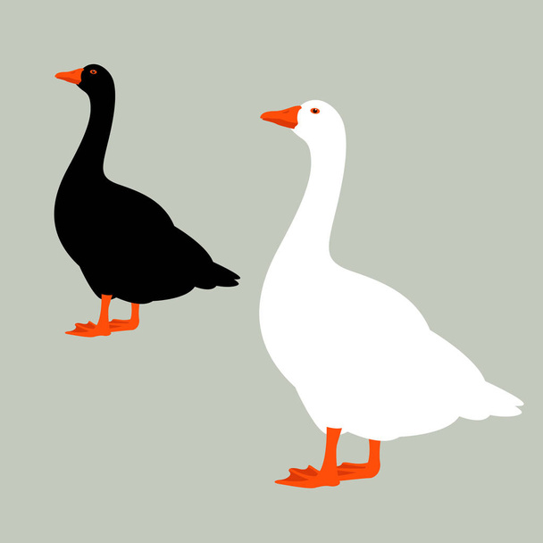 goose  vector illustration ,   flat style  , profile  - Vector, Image