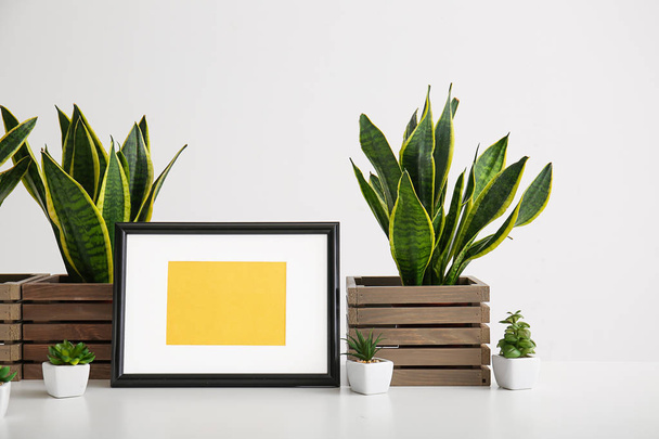 Diverse piante verdi con cornice su sfondo bianco
 - Foto, immagini