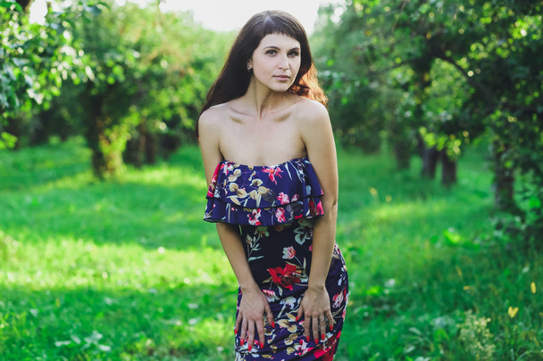 Young beautiful brunette girl in a blue dress in the summer park on the background of green grass - Фото, зображення