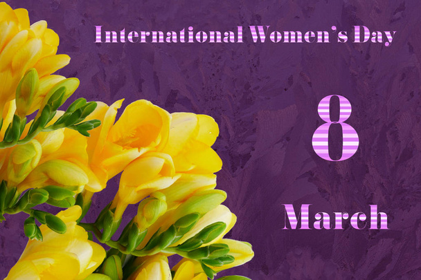 Día Internacional de la Mujer 8 de marzo tarjeta de felicitación, flores de freesia amarilla sobre fondo púrpura oscuro
. - Foto, imagen
