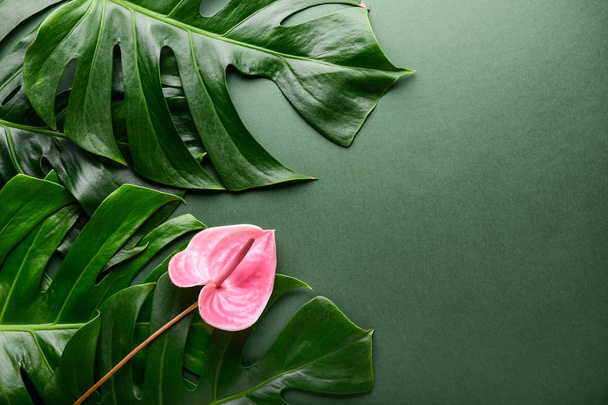 Zöld trópusi levelek és a virág szín háttér - Fotó, kép
