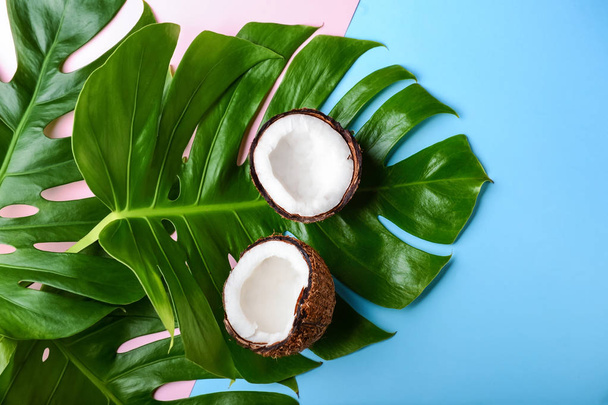 Coconut and tropical leaves on color background - Foto, imagen