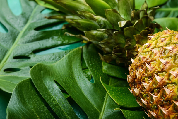 Ripe pineapple on green tropical leaves - Fotoğraf, Görsel