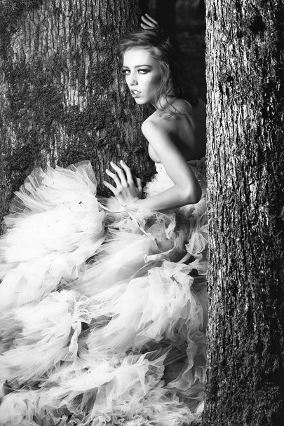 Pretty girl near tree - Fotografie, Obrázek