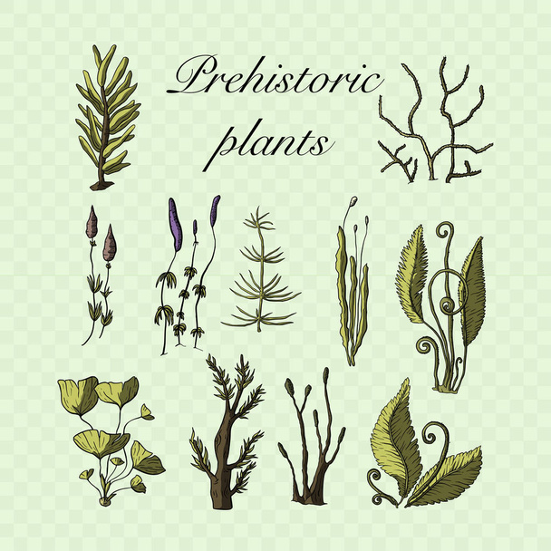 Plantas vectoriales prehistóricas
. - Vector, imagen