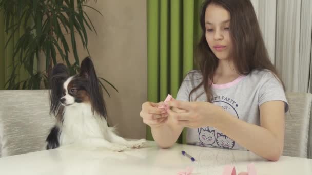 Girl teenager and dog Papillon guess on desires, packs a treat in sheets of paper and offers to make choice stock footage video - Footage, Video