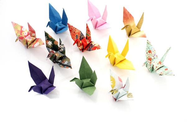 Kolorowy papier ptaki na biały. Koncepcja origami - Zdjęcie, obraz