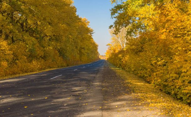 Empty rural road in central Ukraine at fall season - Foto, imagen