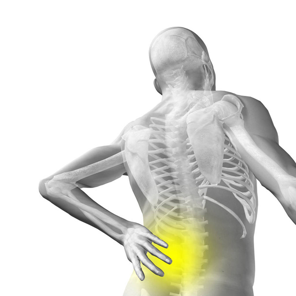Concepto de alta resolución o conceptual 3d anatomía masculina o masculina humana con dolor de espalda aislado sobre fondo blanco
 - Foto, Imagen