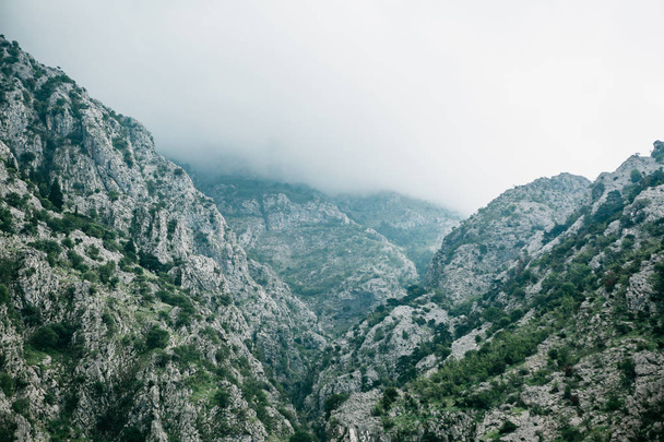 Beautiful view of the mountains in the fog in Montenegro. - Фото, изображение