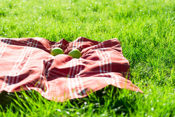couverture de pique-nique avec pommes sur l'herbe
 - Photo, image