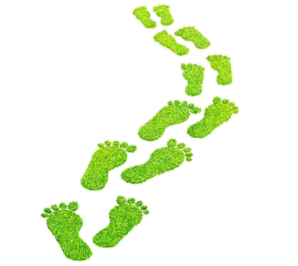 foot print made of green grass  isolated - Photo, Image