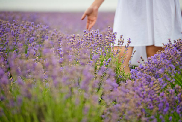 Young girl in white dress, posing in a lavender field. Close-up. - Foto, Imagem