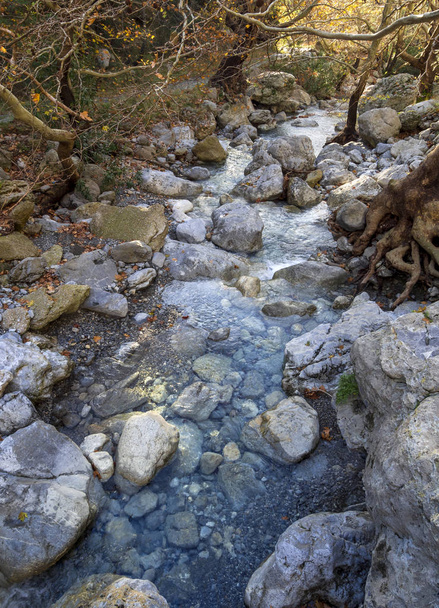 Горная река с чистой водой в лесу в горах Дирфис на острове Эвия, Греция
 - Фото, изображение
