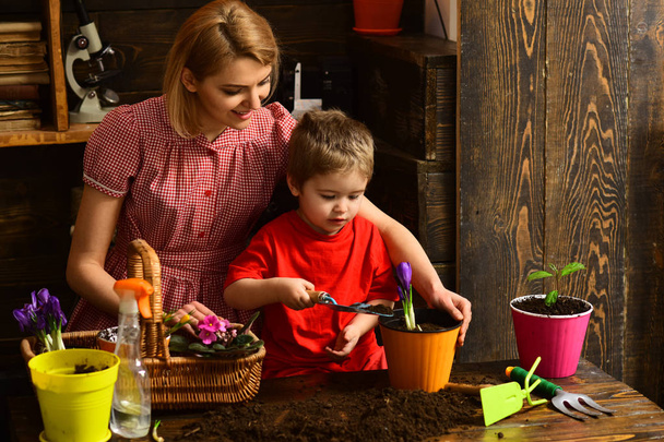 Hobby concept. Little child help woman planting flower in pot with soil, hobby. Indoor gardening as hobby. Enjoy family hobby activity - Photo, image