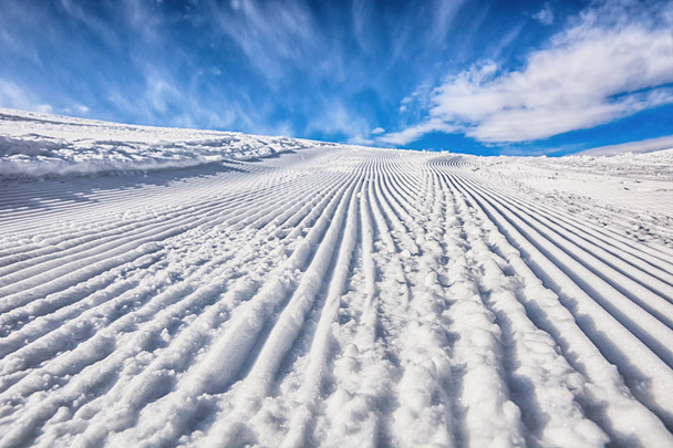 Well prepared ski route. Sunny day. Ski trail in Karakol, Kyrgyzstan. - Фото, изображение