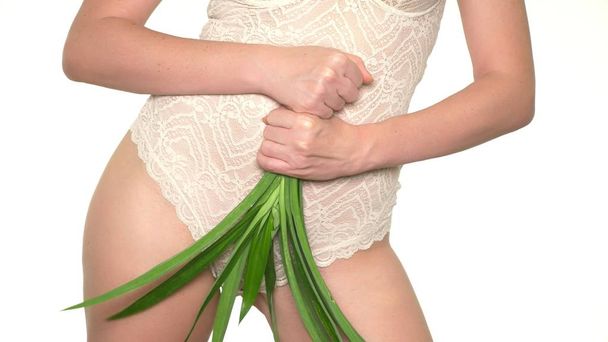 Woman holding fresh green leaves on lingerie background, concept of female health and body care - Photo, Image