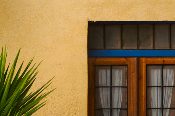 Primer plano abstracto de la pared y la puerta del patio
 - Foto, imagen