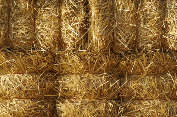 Stacked Straw Hay Bails - Photo, Image