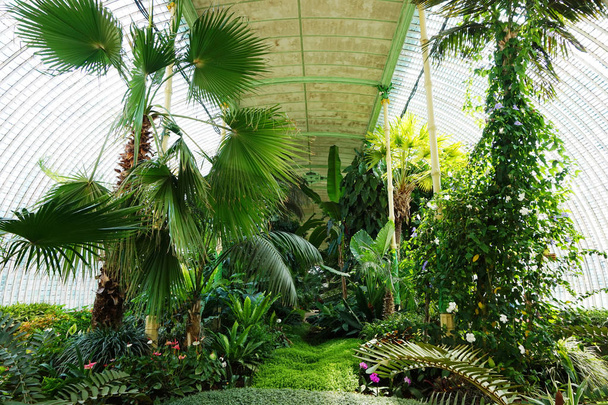 tropical greenhouse interior near Lednice castle czech republic - Photo, Image