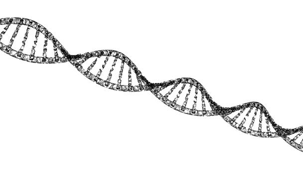 DNA, sarmal model beyaz arka plan üzerinde izole tıp ve ağ bağlantı çizgileri. Bilim, tıp ve kimya kavramı, 3d illüstrasyon soyut fütüristik teknoloji yapısında. - Fotoğraf, Görsel