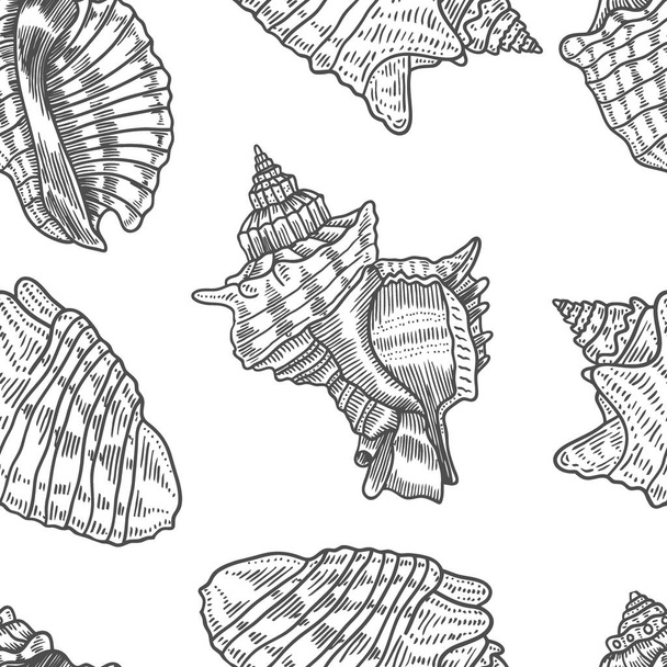 Seashells vector seamless pattern. Hand drawn marine illustrations of engraved line. Monochrome background. - ベクター画像