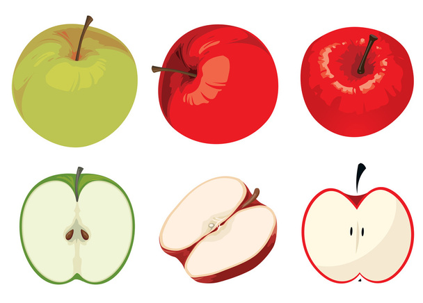Green and Red Apple - Vector, Image