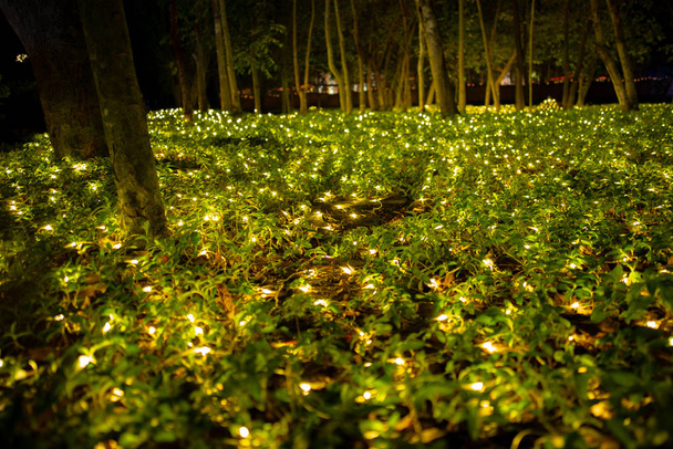 Landschap van grasveld en weide versierd met led verlichting - Foto, afbeelding