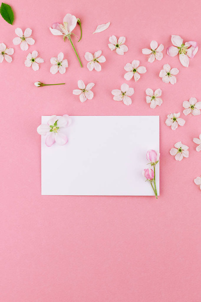 Creatieve flat lag bovenaanzicht van het concept van lege brief envelop en cherry tree Lentebloemen op duizendjarige roze achtergrond met ruimte in minimalistische stijl, sjabloon voor viering, valentijn kaarten kopiëren - Foto, afbeelding