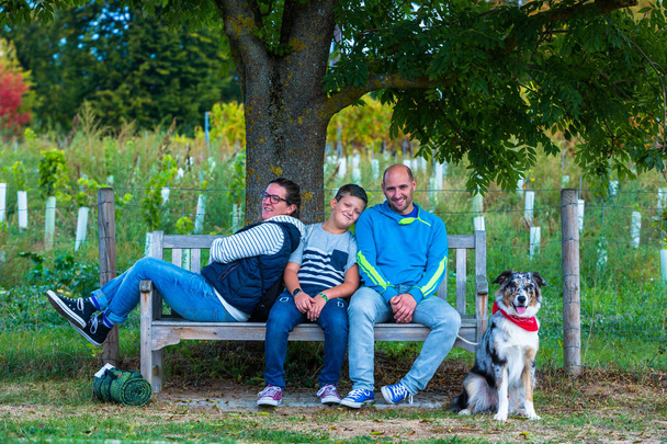 family takes a rest on a park bench under  a tree - Foto, Imagen
