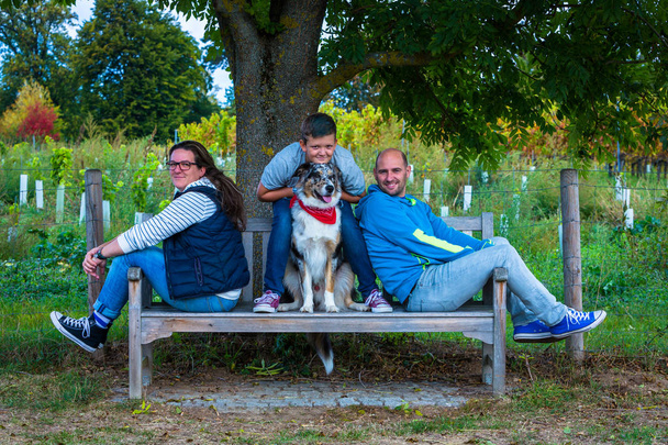 family and dog take a rest on a park bench under  a tree - Fotó, kép