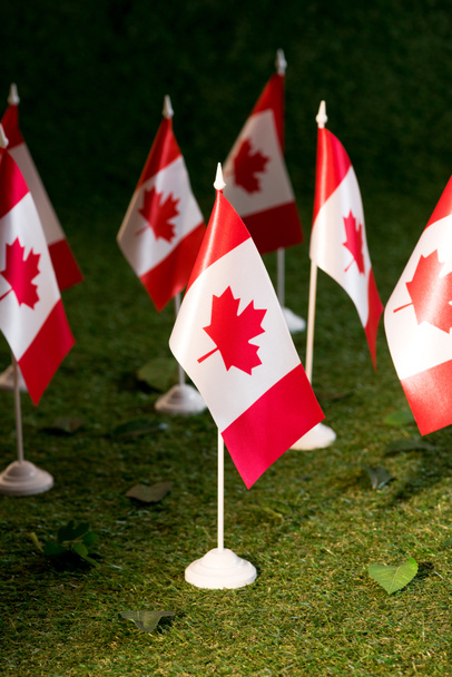 selective focus of canadian flags on green grass background - Fotoğraf, Görsel