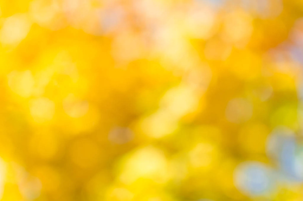 Niewyraźne tło z Złota Jesień scena w parku z jesienią liści. Wibrujący spadek liści. - Zdjęcie, obraz