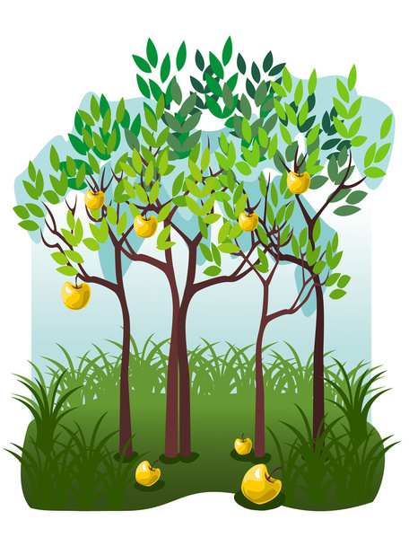 Сочные фрукты в яблоневом саду
 - Вектор,изображение