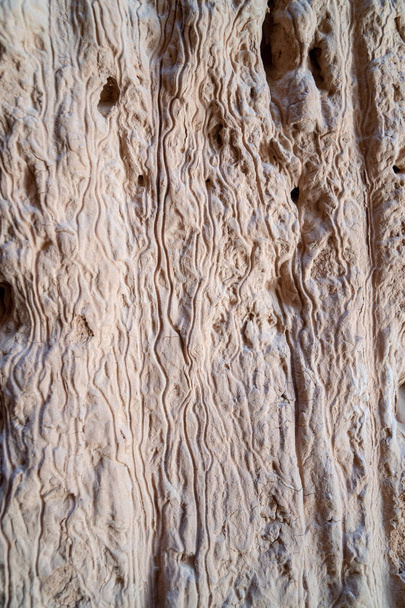 Крупним планом подання Пісковик глини скельними утвореннями у соборі ущелині State Park в штаті Невада - Фото, зображення