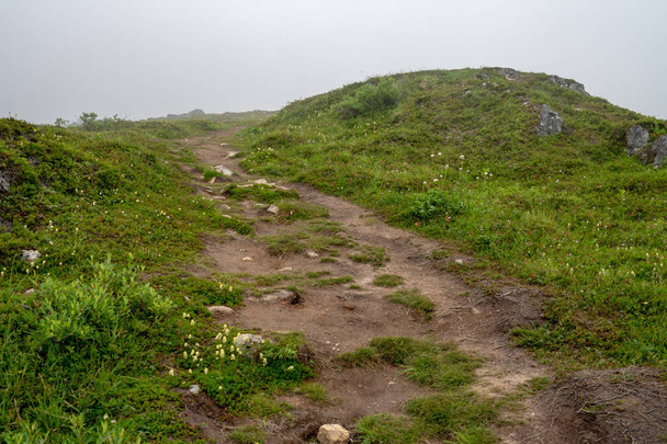 Spooky trail in the ghost town of Independence Mine Alaska at Hatcher Pass on a misty foggy day - Photo, Image