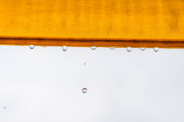 黄色の布傘の端から落ちてくる雨粒 - 写真・画像