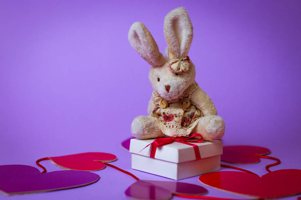 Κουνέλι παιχνίδι κάθεται σε ένα κουτί δώρου, σε ολόλευκο με μια κόκκινη κορδέλα σε καρδιές χαρτί σε μοβ φόντο. - Φωτογραφία, εικόνα