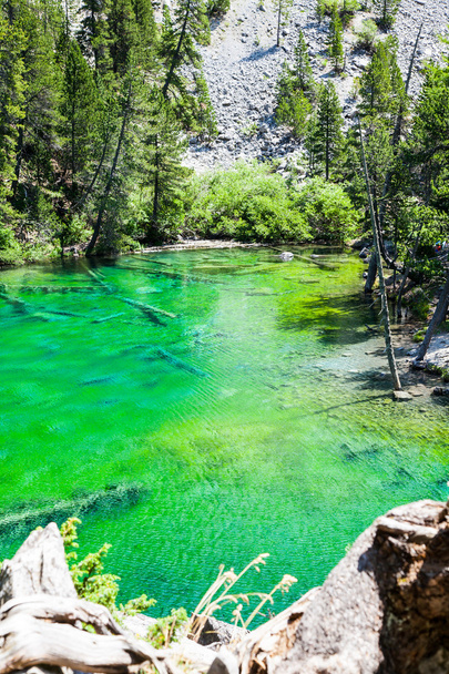 Jezioro zielony - Zdjęcie, obraz