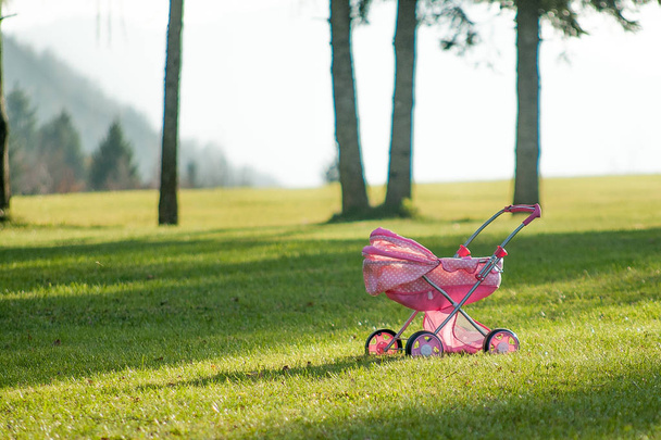 stroller in the park - Photo, Image