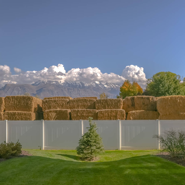 Hay stacks on farm viewed from lawn of neighbors. the lawn looks perfectly groomed and has a few trees planted. Over the white fence are many haystacks and mountains behind with white puffy clouds. - Photo, Image