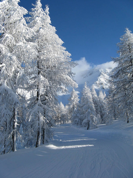 betoverend landschap na zware sneeuwval - Foto, afbeelding