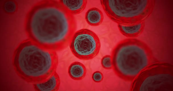Molekuláris szint felé bizonyos sejtek nagyítással - Felvétel, videó