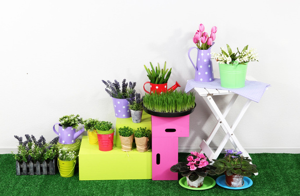 Colorful shelves and table with decorative elements standing on grass - Foto, Imagem