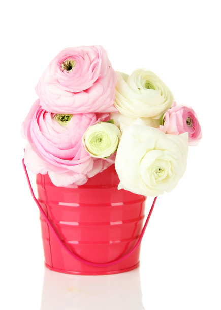 Ranunculus (persian buttercups) in pail, isolated on white - Photo, Image