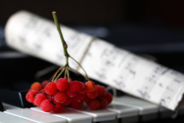 Bayas rojas de Viburnum y piano, música
 - Foto, imagen