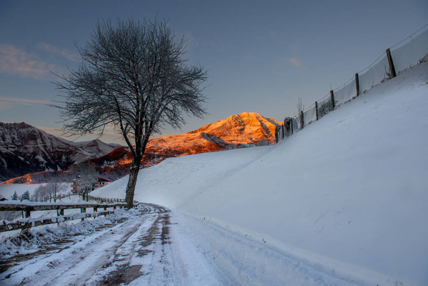 сніжна дорога з деревом на заході сонця
 - Фото, зображення