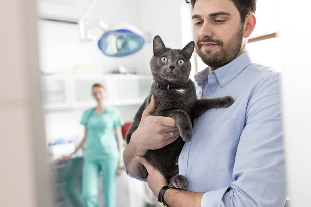Owner carrying Russian Blue cat at veterinary clinic - Foto, imagen