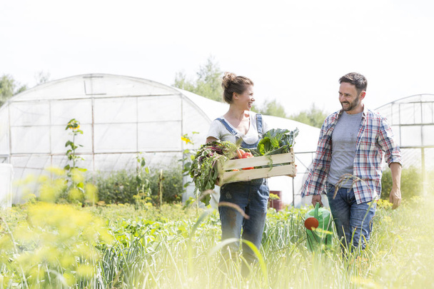 Happy couple talking while holding vegetable crate with watering can at farm - Photo, Image